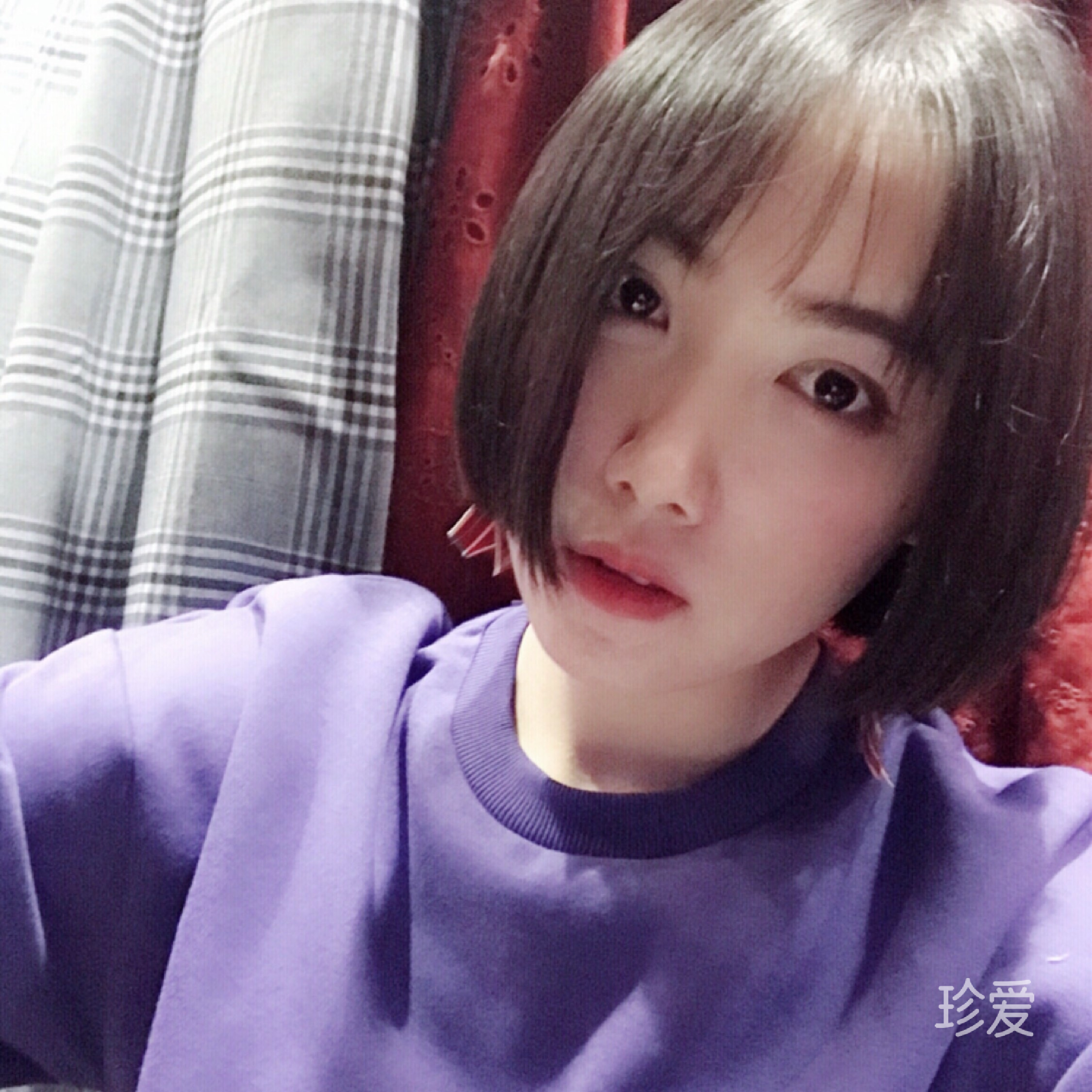 仰泳的鱼