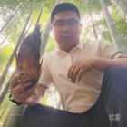 雨天的思念