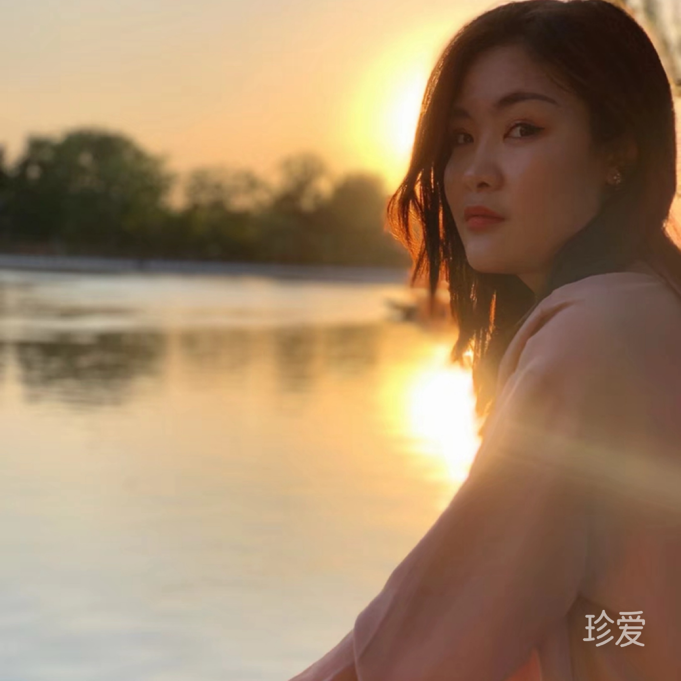 我的小狗叫多米