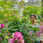 靜待花開