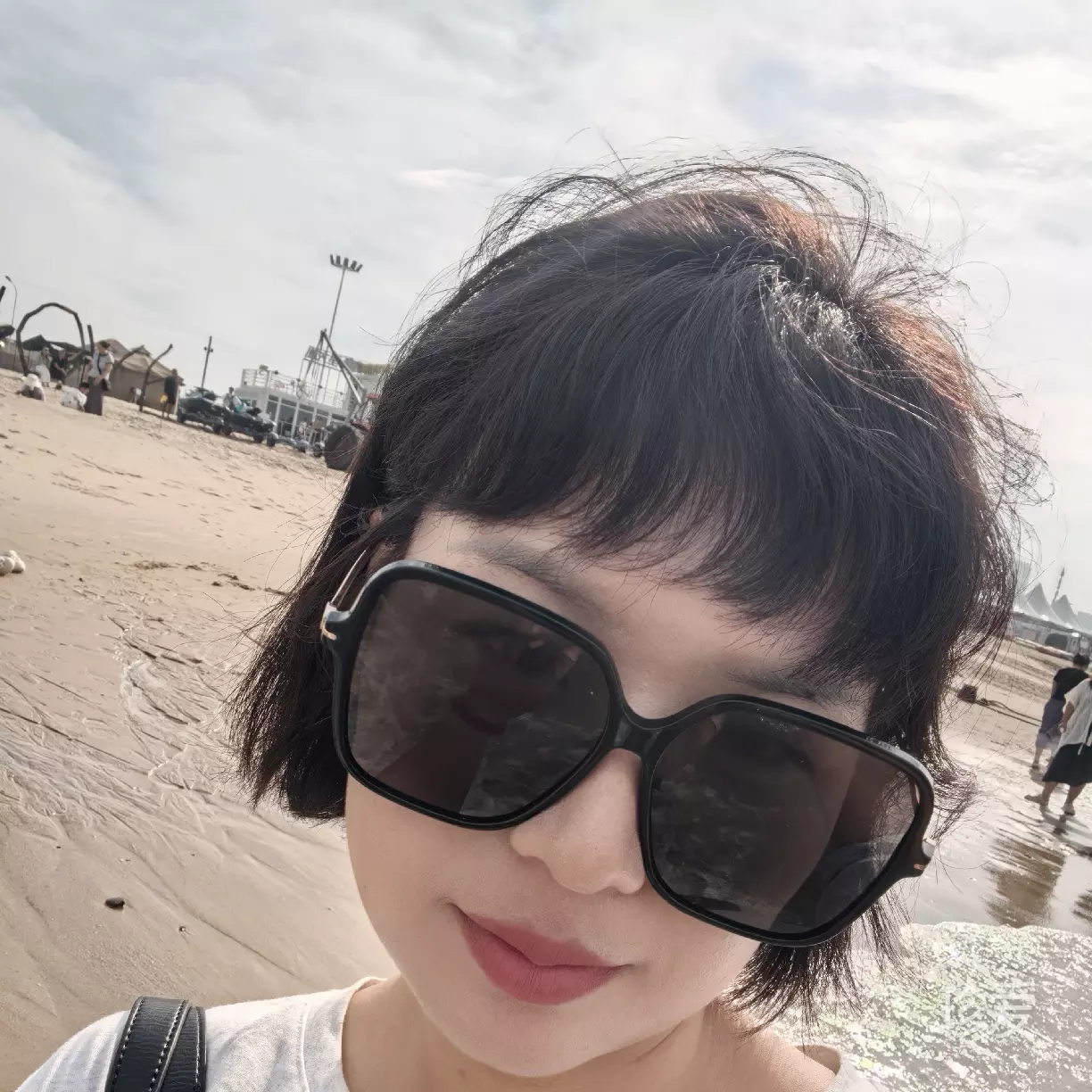 紫苏