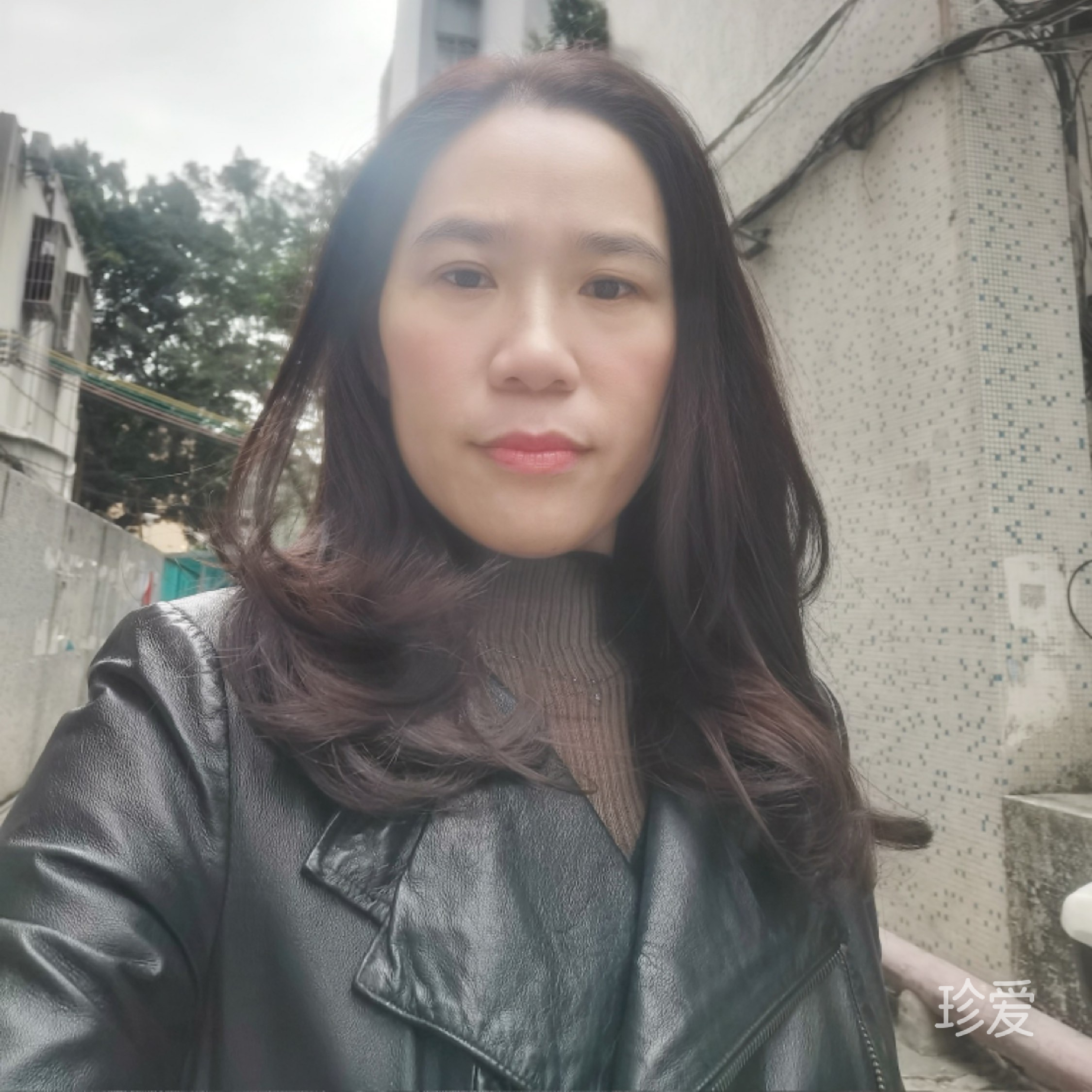 相識不過一場夢