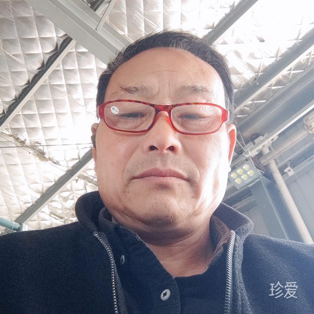 温柔的狼