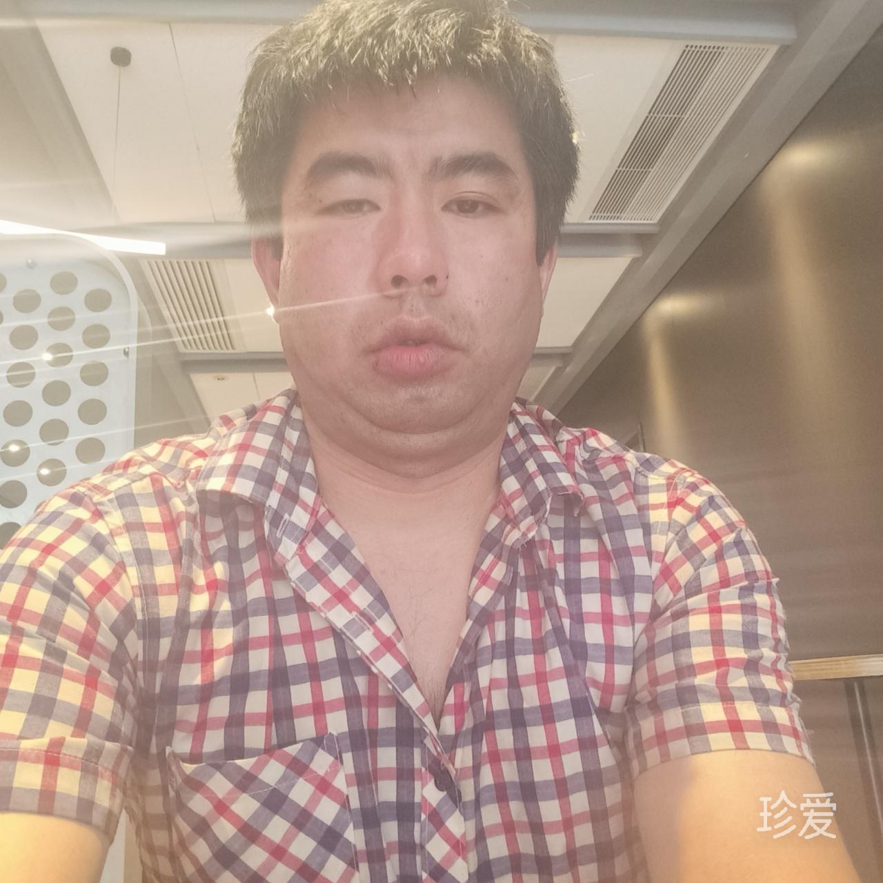 强壮的猪猪