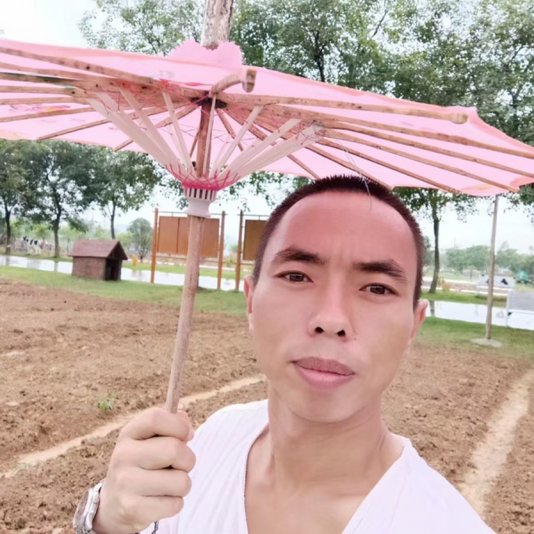 敵敵喂加鶴頂紅