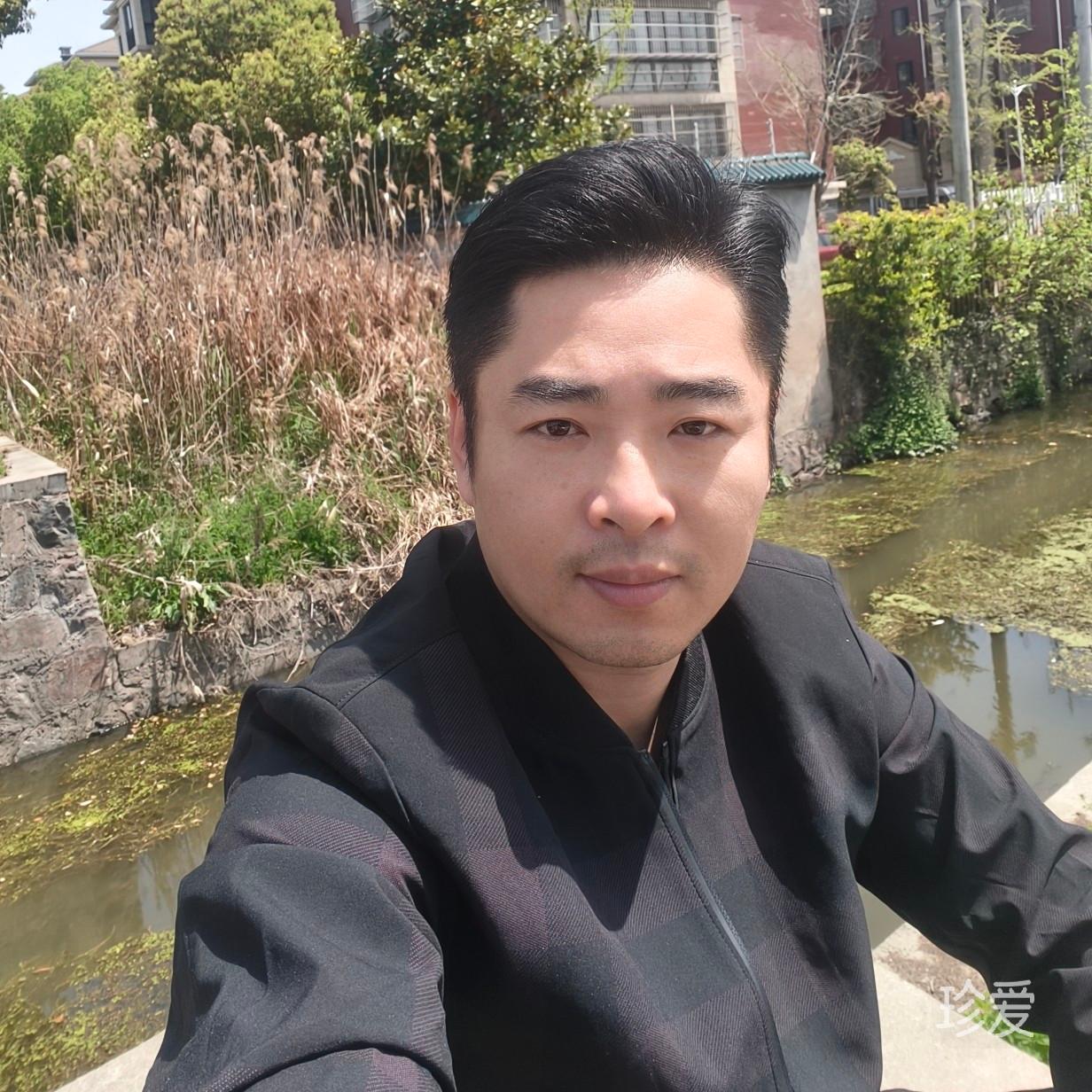 飞鸿