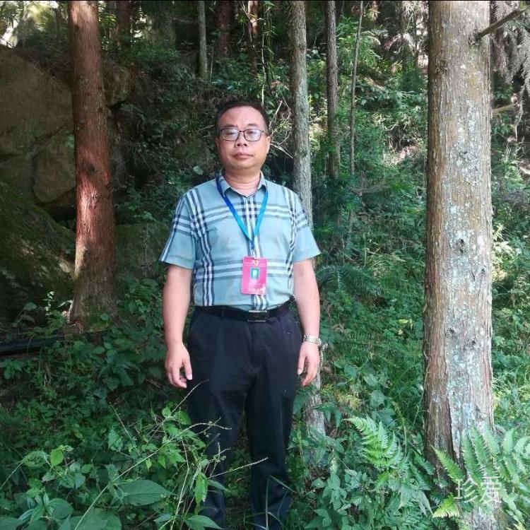 你是我新的开始