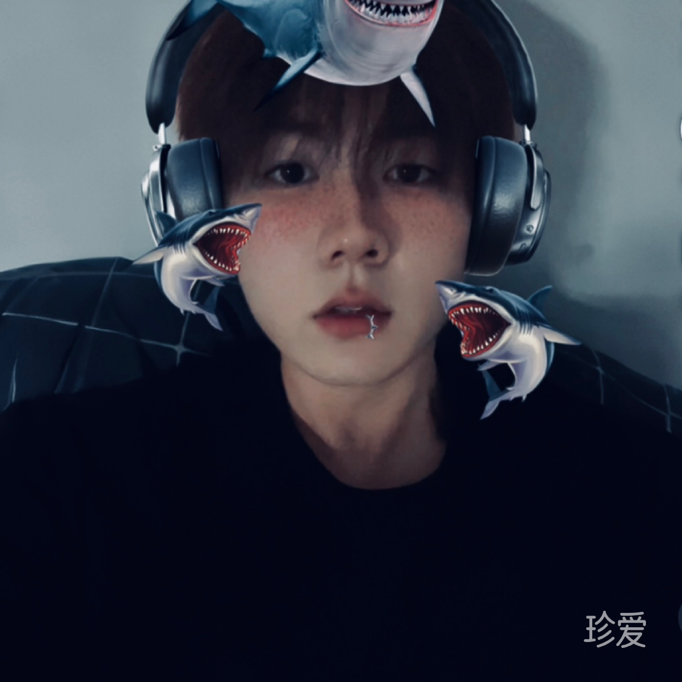 落叶