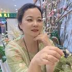 萍兒