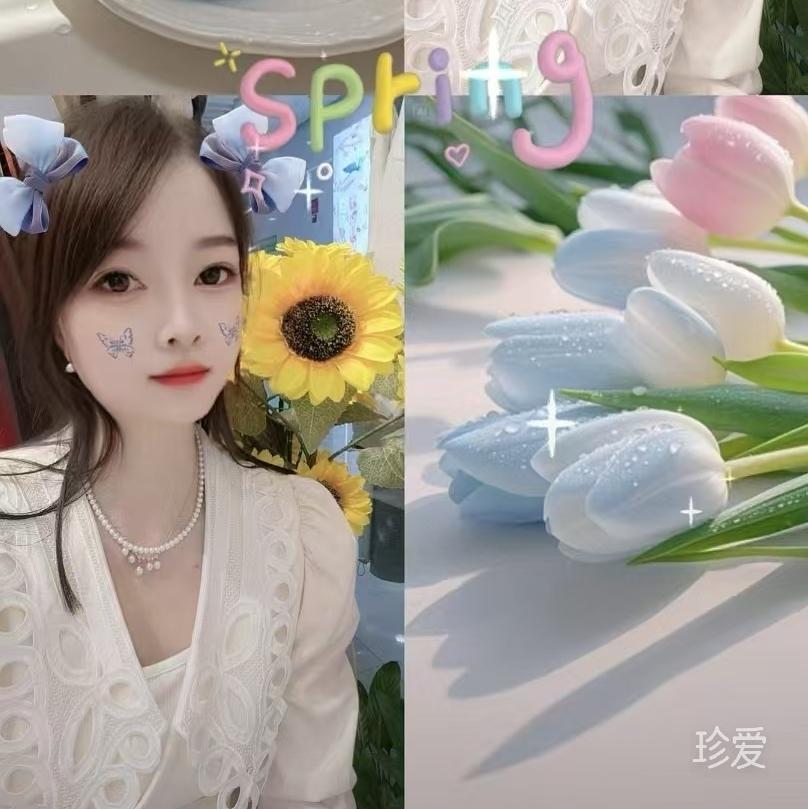 琴琴