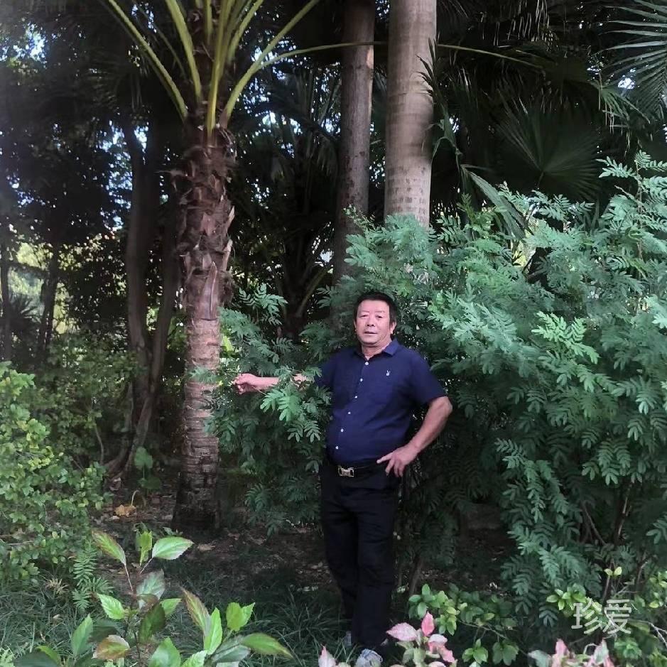 纪刚