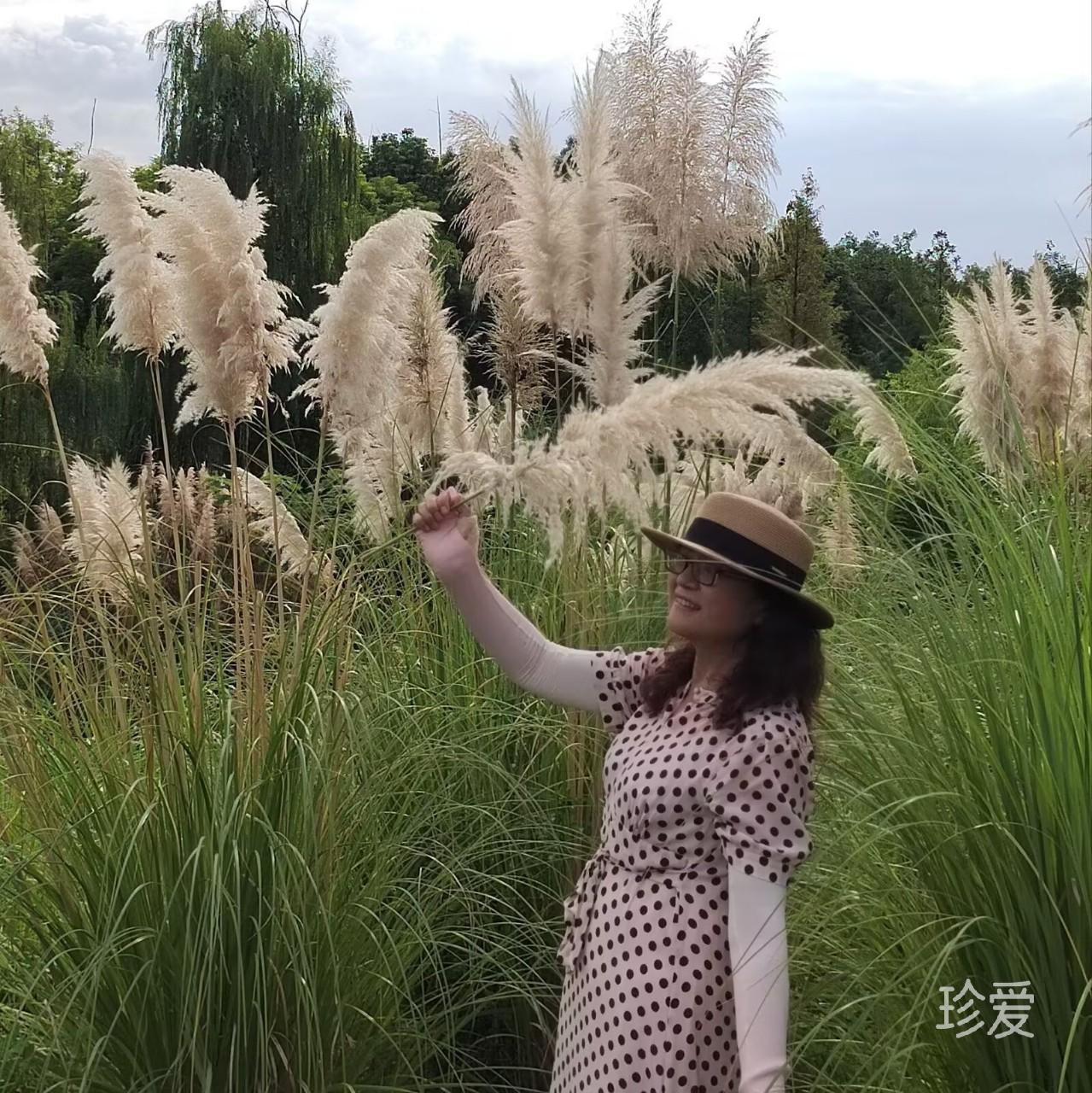 林子