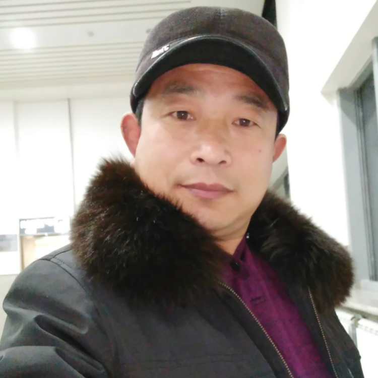 暴風(fēng)雨中竹