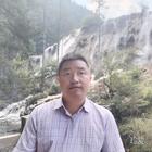 任意而為