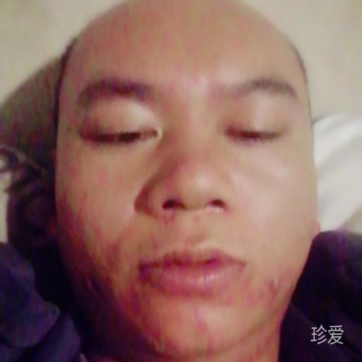 狐独的风
