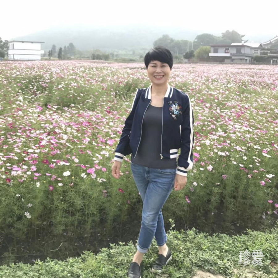 芳香红玫瑰