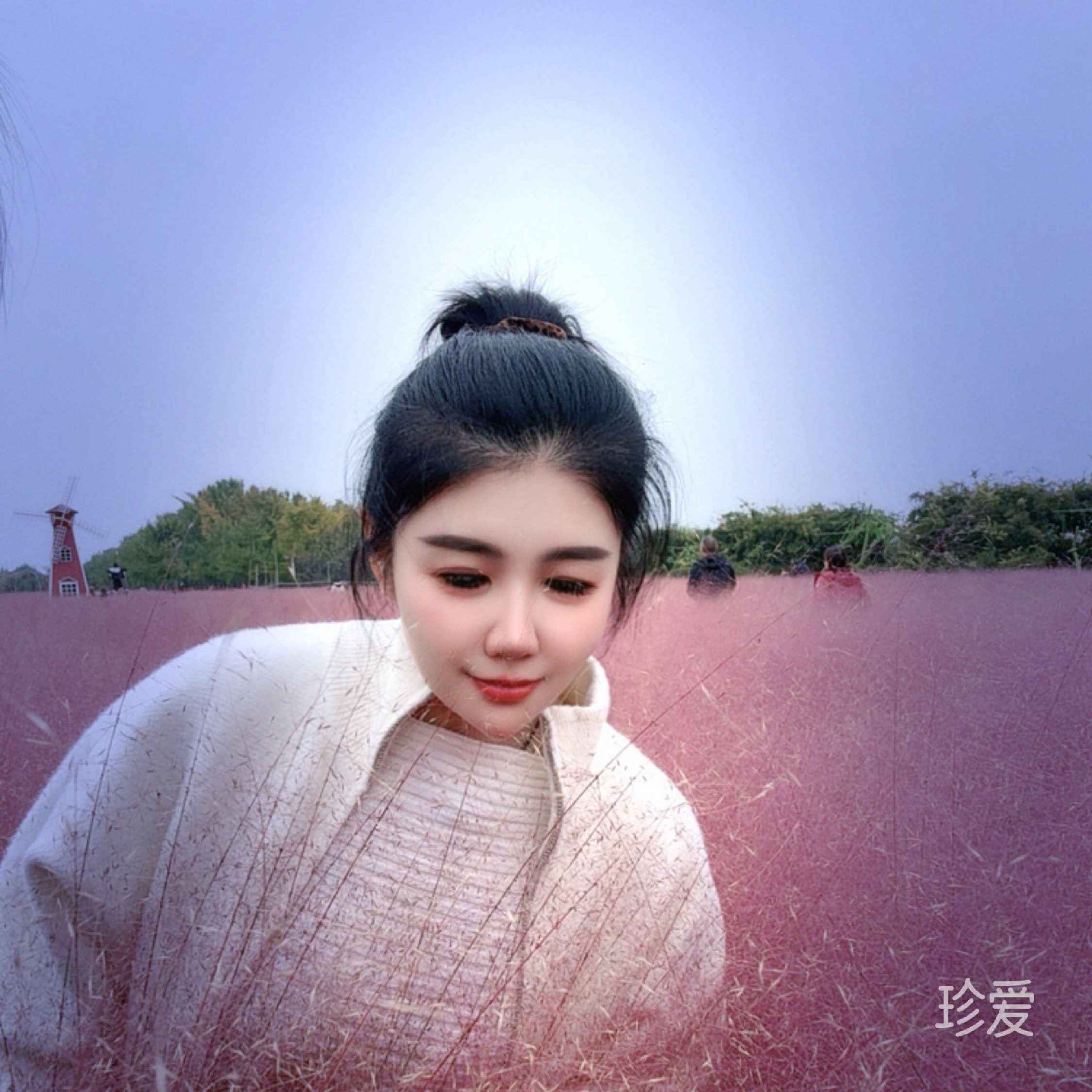 安冉