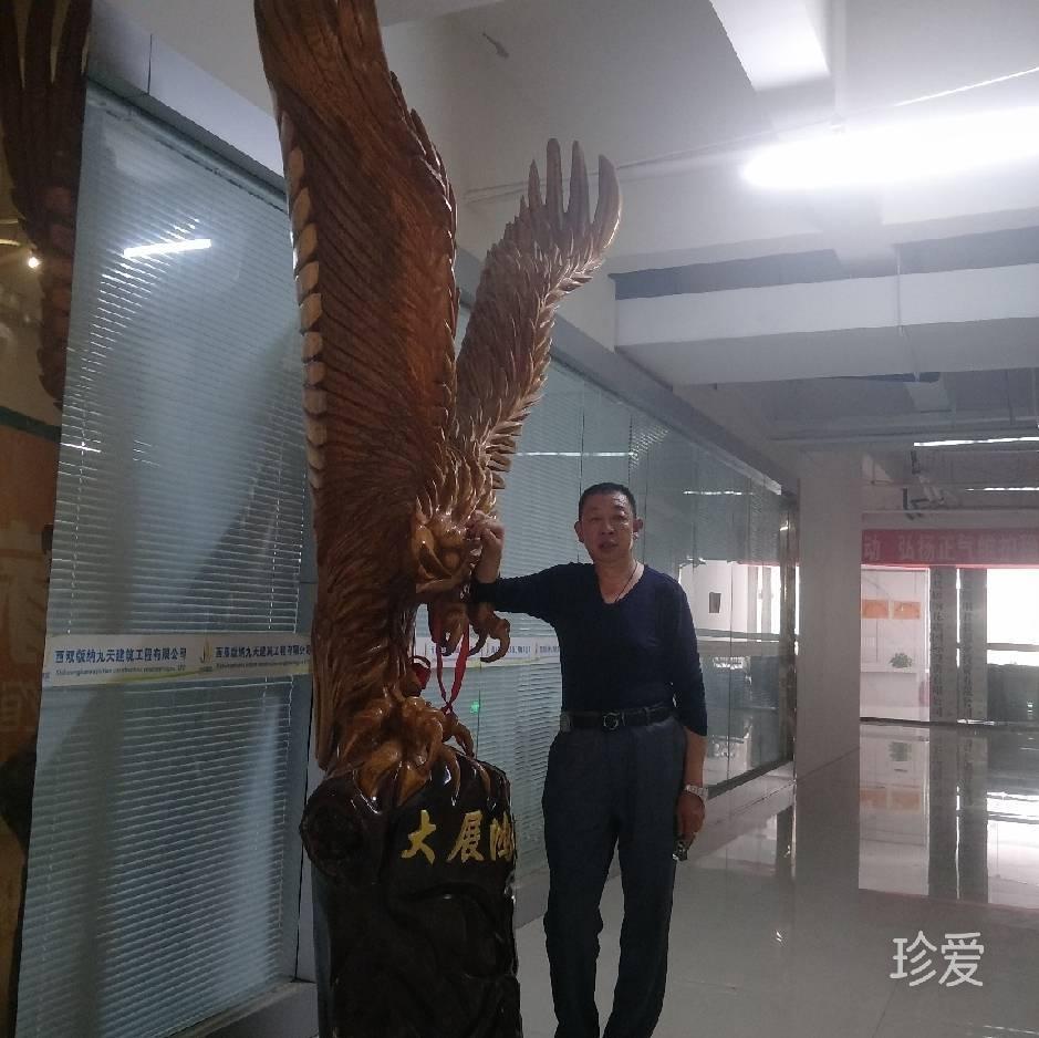 寻找阳光
