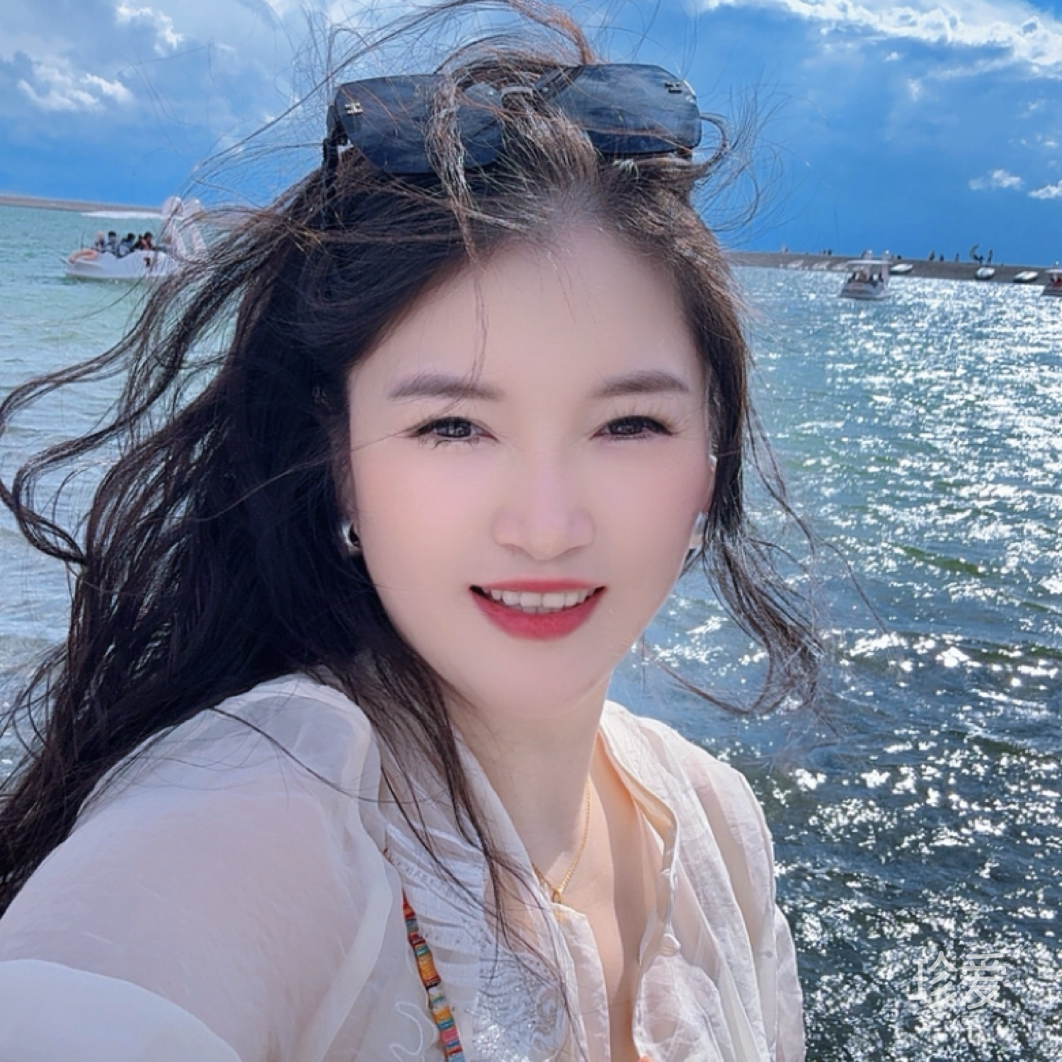 摇曳的玫瑰