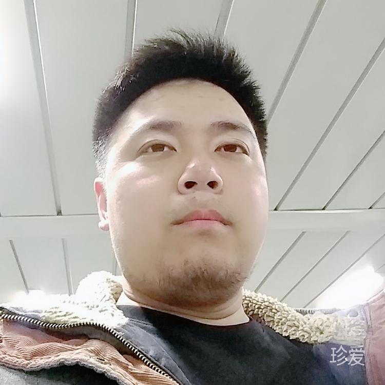 沙漠里的小烏龜