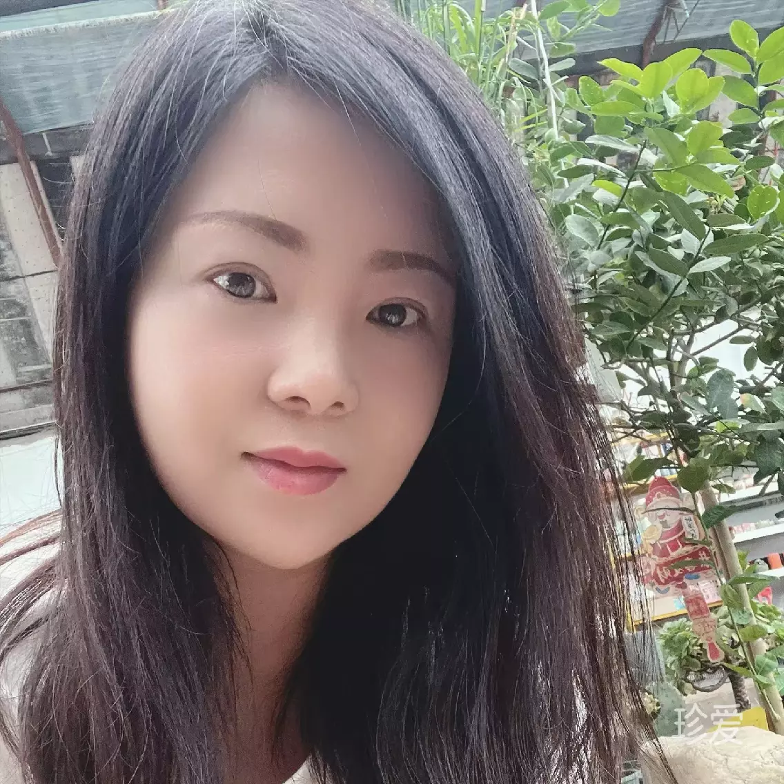 美羊羊
