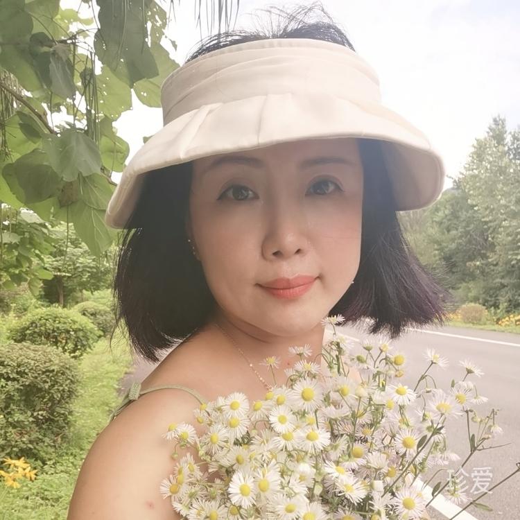 雅淡天然别