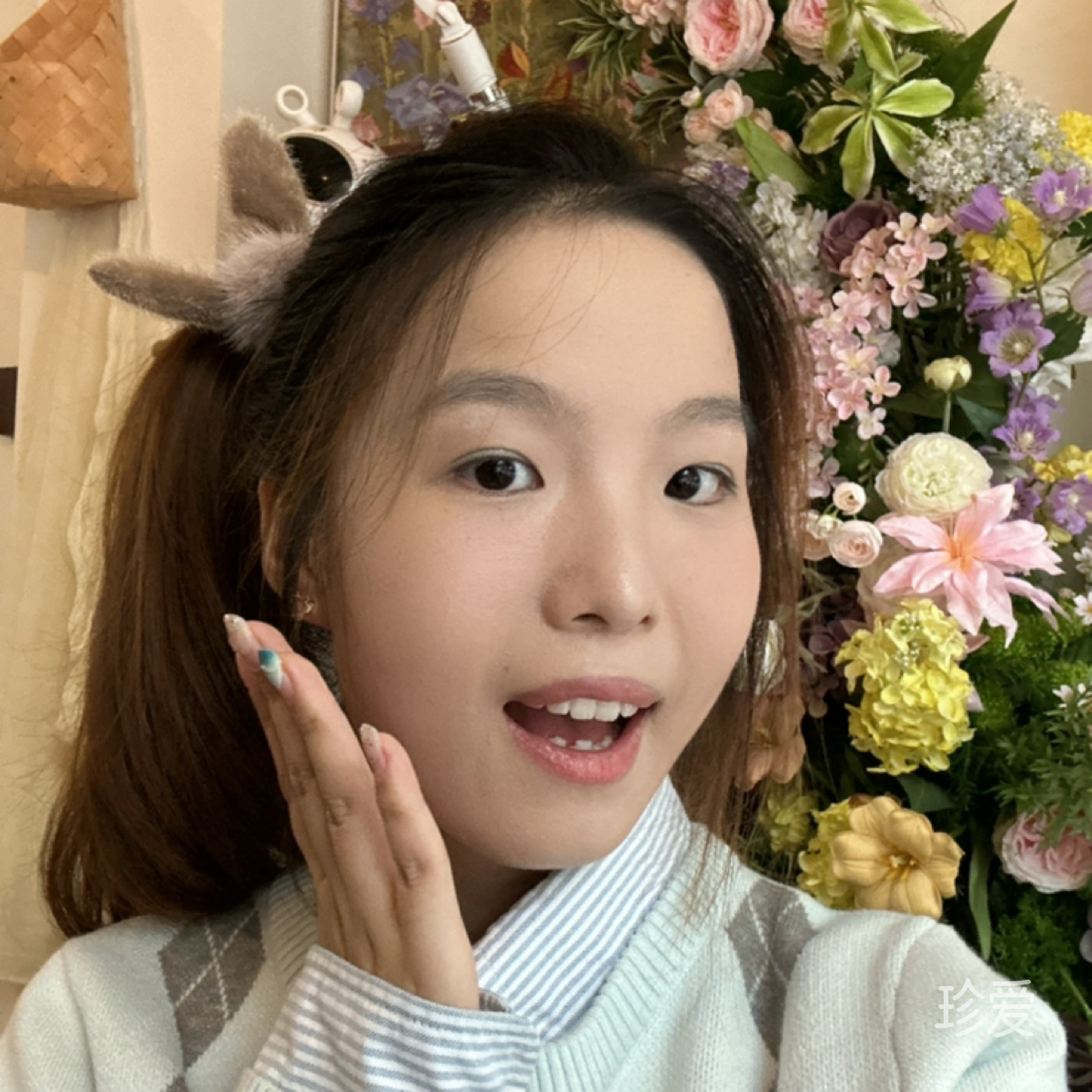 鱼儿