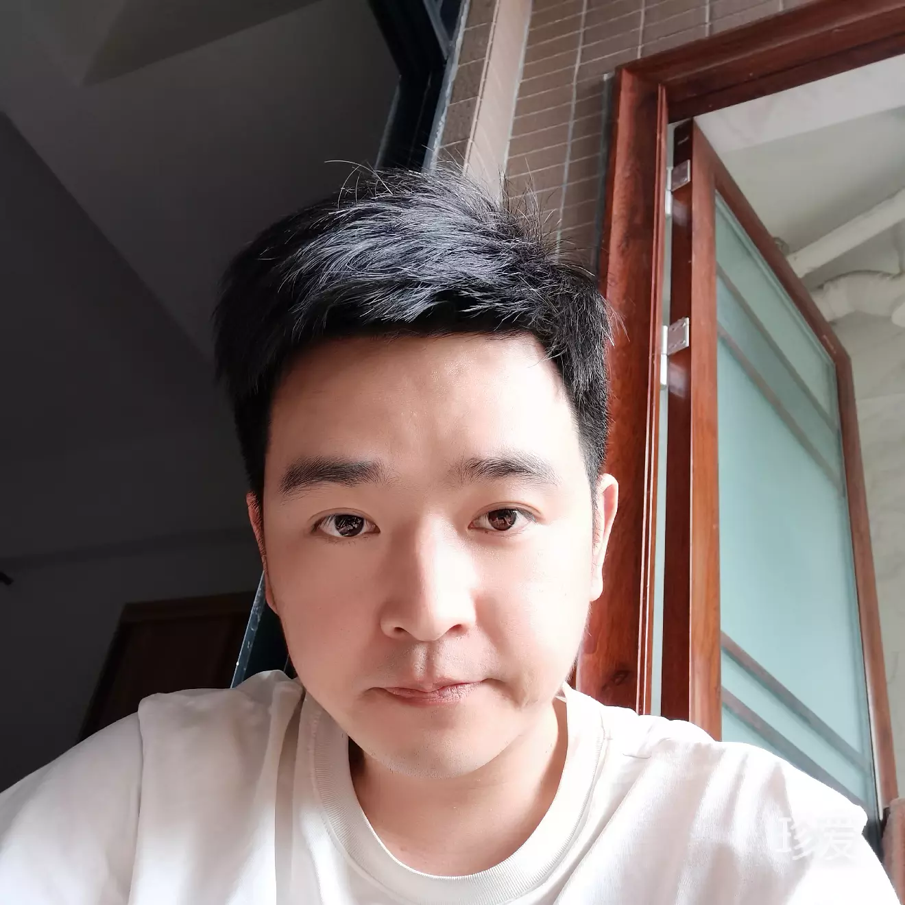 风起长林