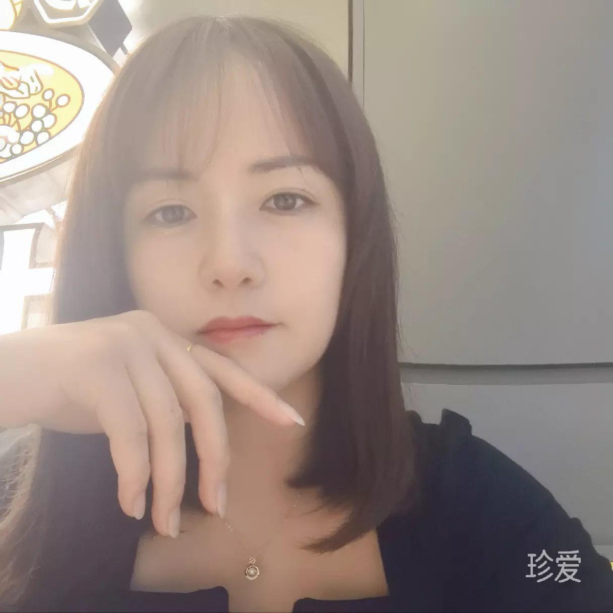 寻找爱的港湾