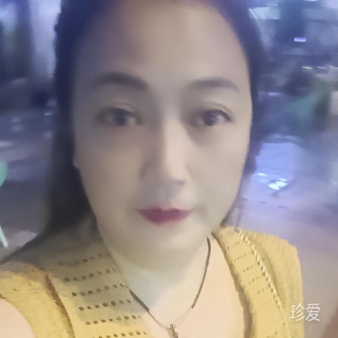 风岚诺维