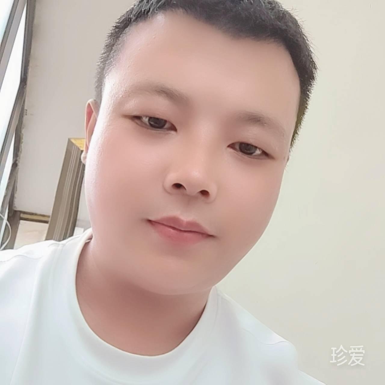 会游泳的猫