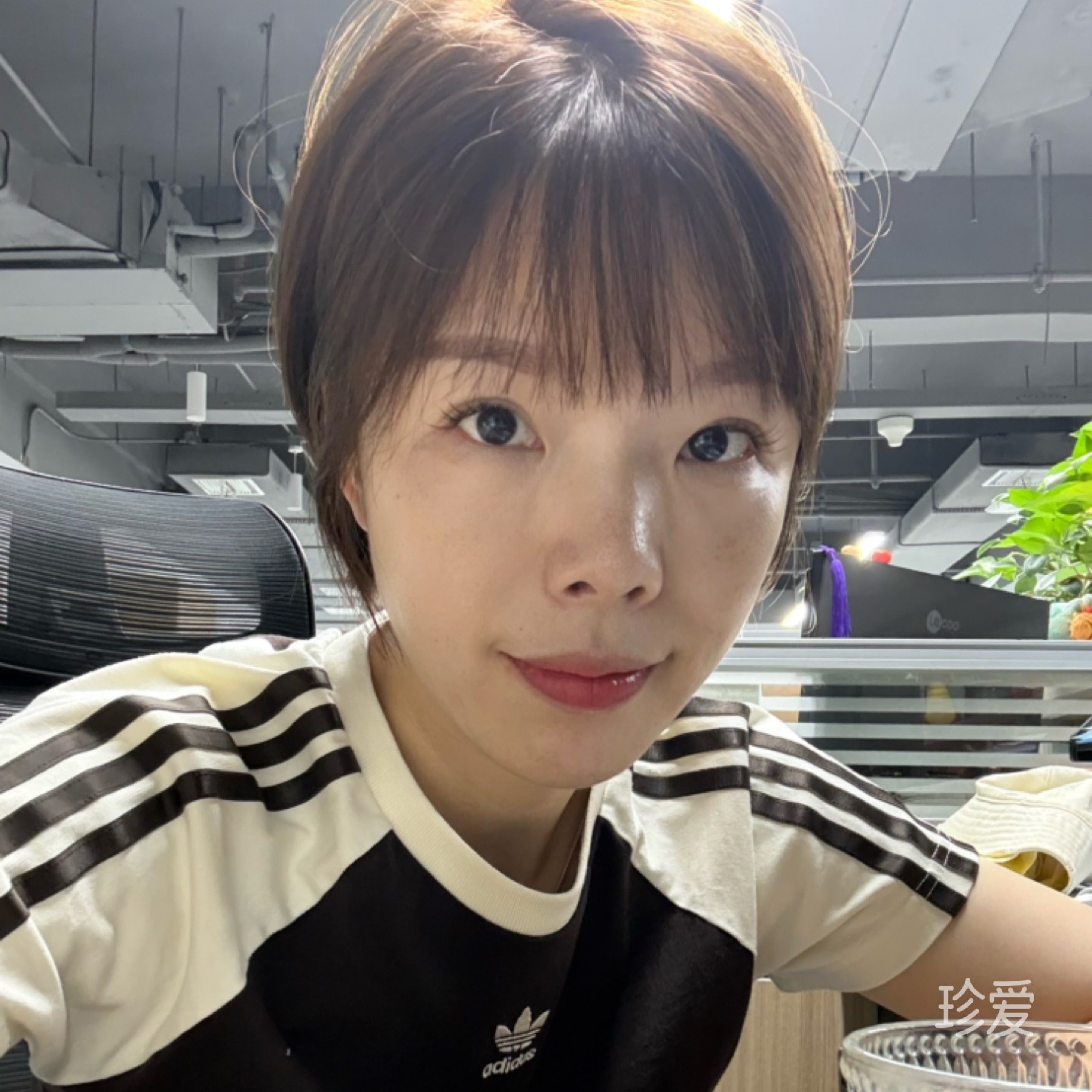 小菜成熟了
