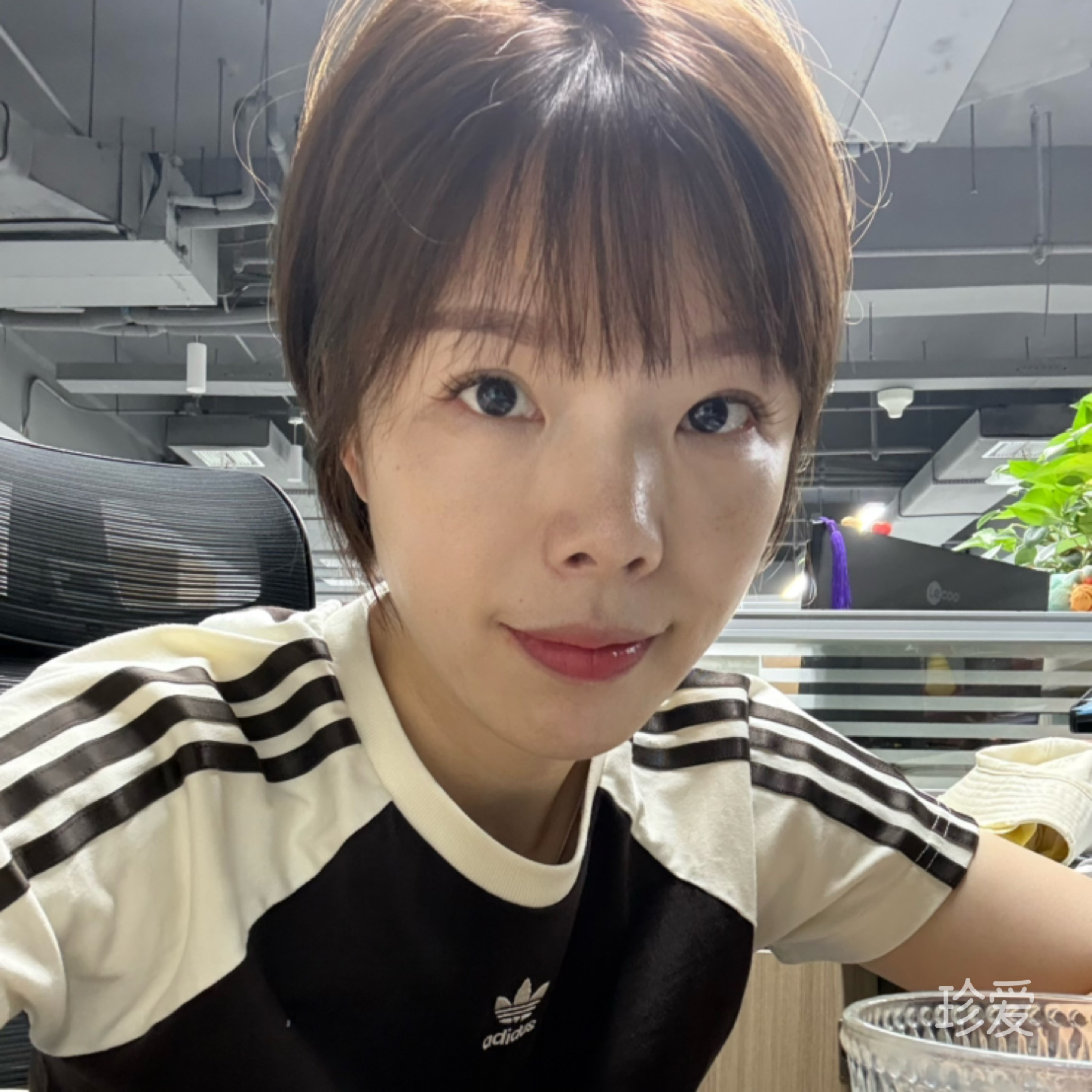 小菜成熟了