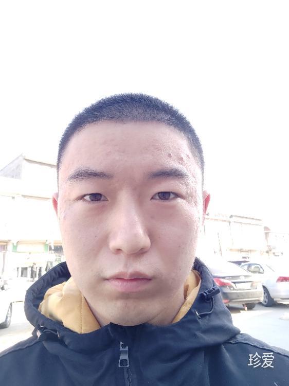 愛玩的內(nèi)向貓