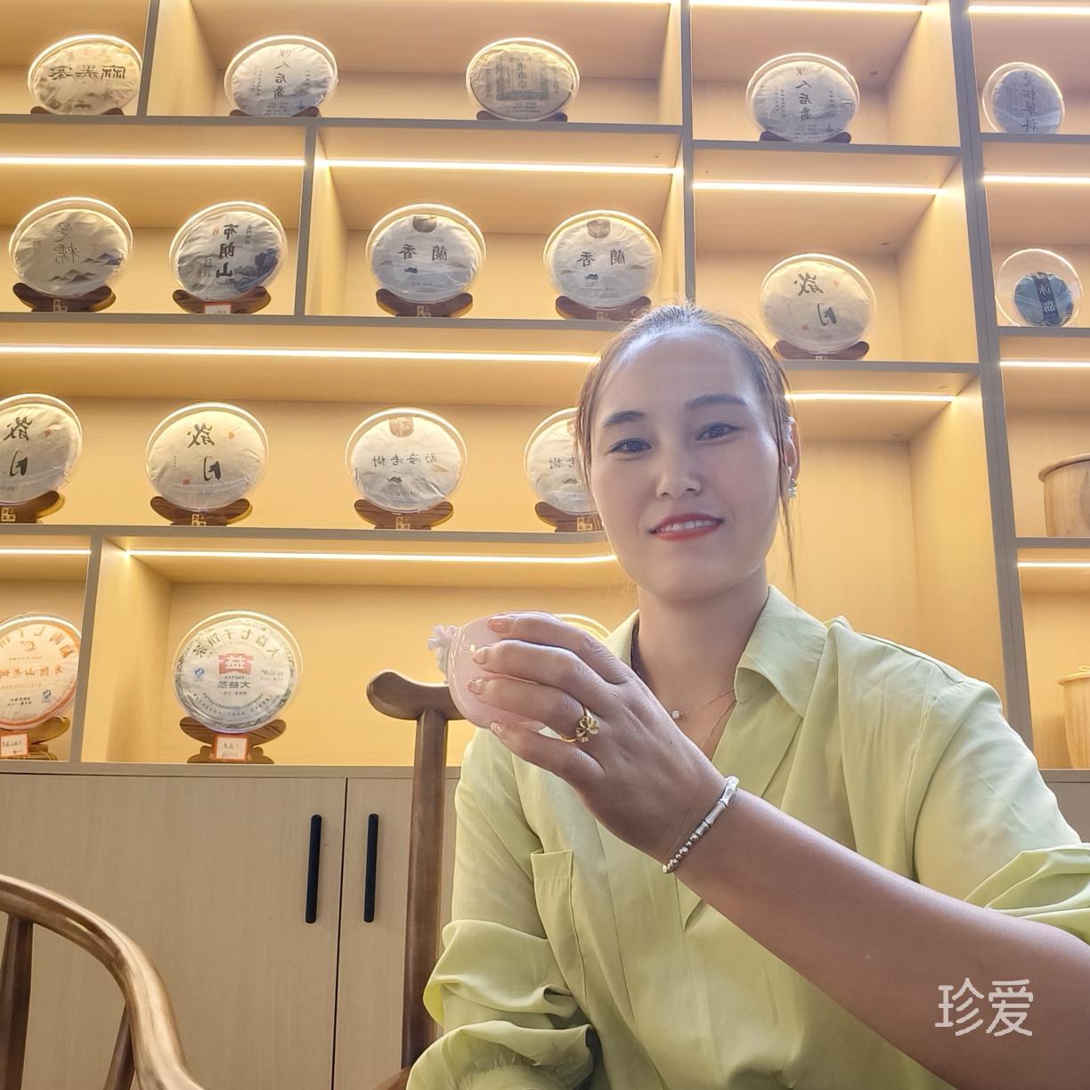 小燕子