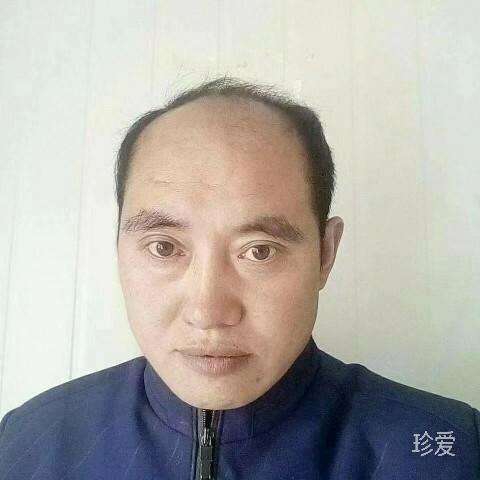 冻梨