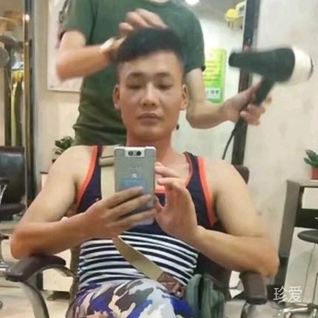 誠摯誠摯的梧桐