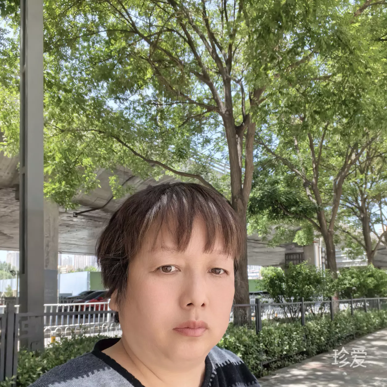 苏熙