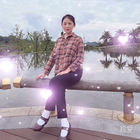 溫暖的陽(yáng)光