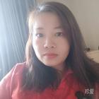海豚戀上貓