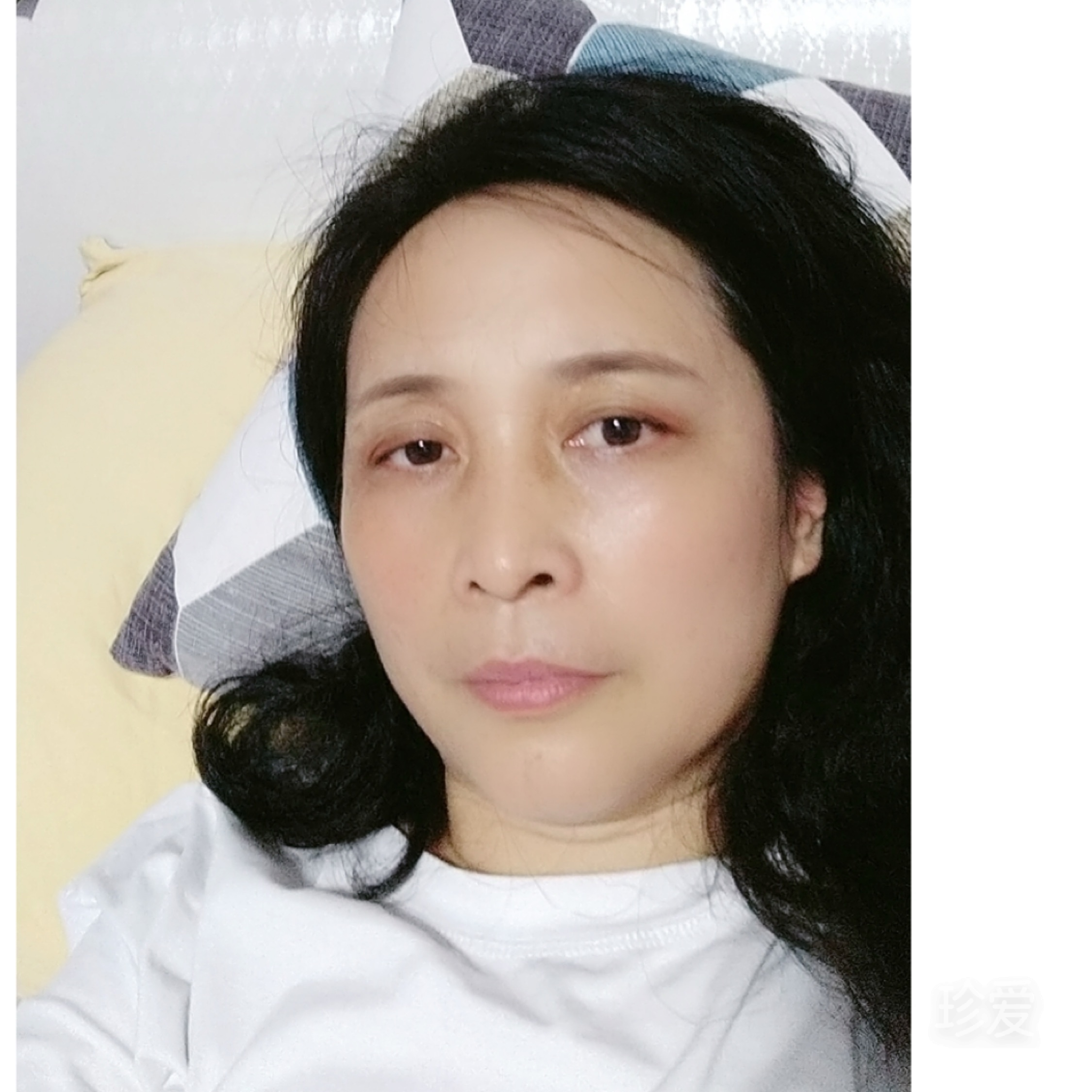 兰花草