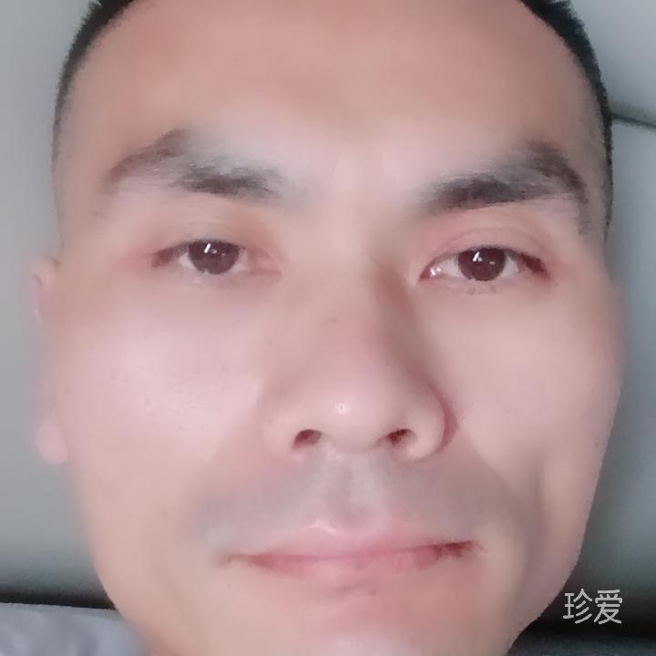 给你倾城的温柔