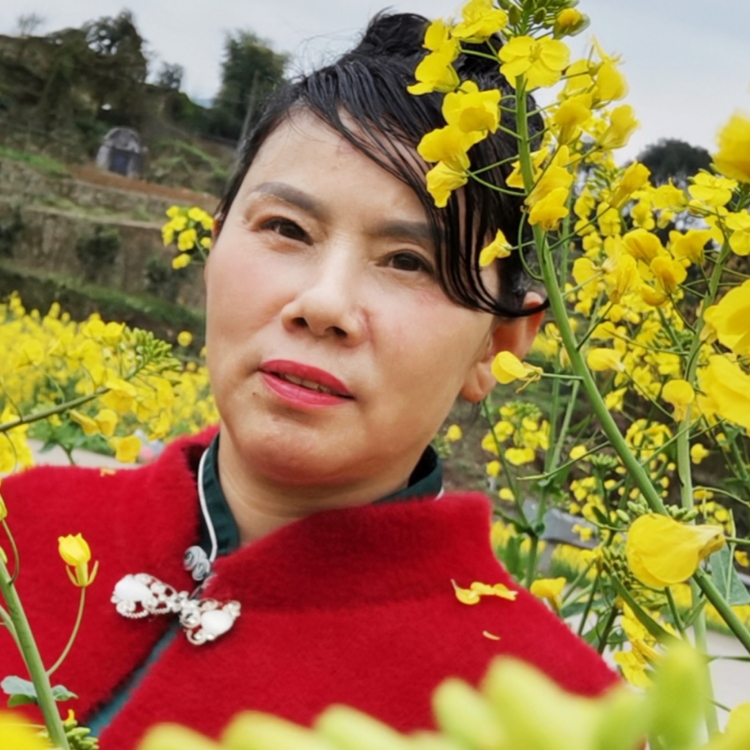 風(fēng)景的風(fēng)