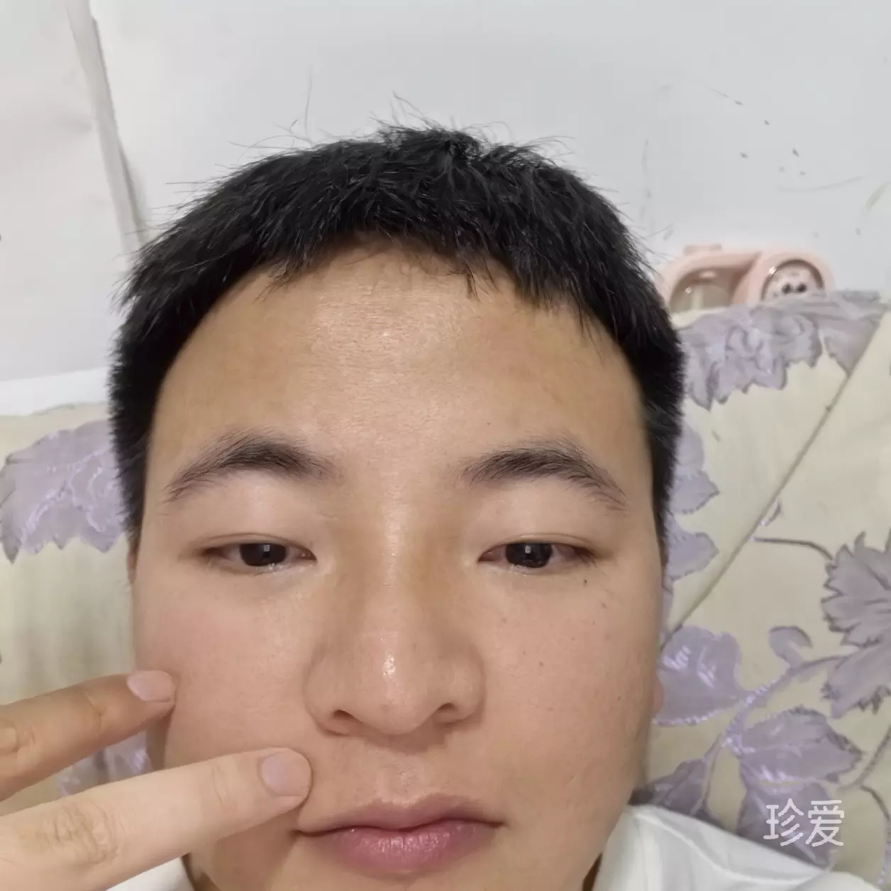 鲨鱼海椒王