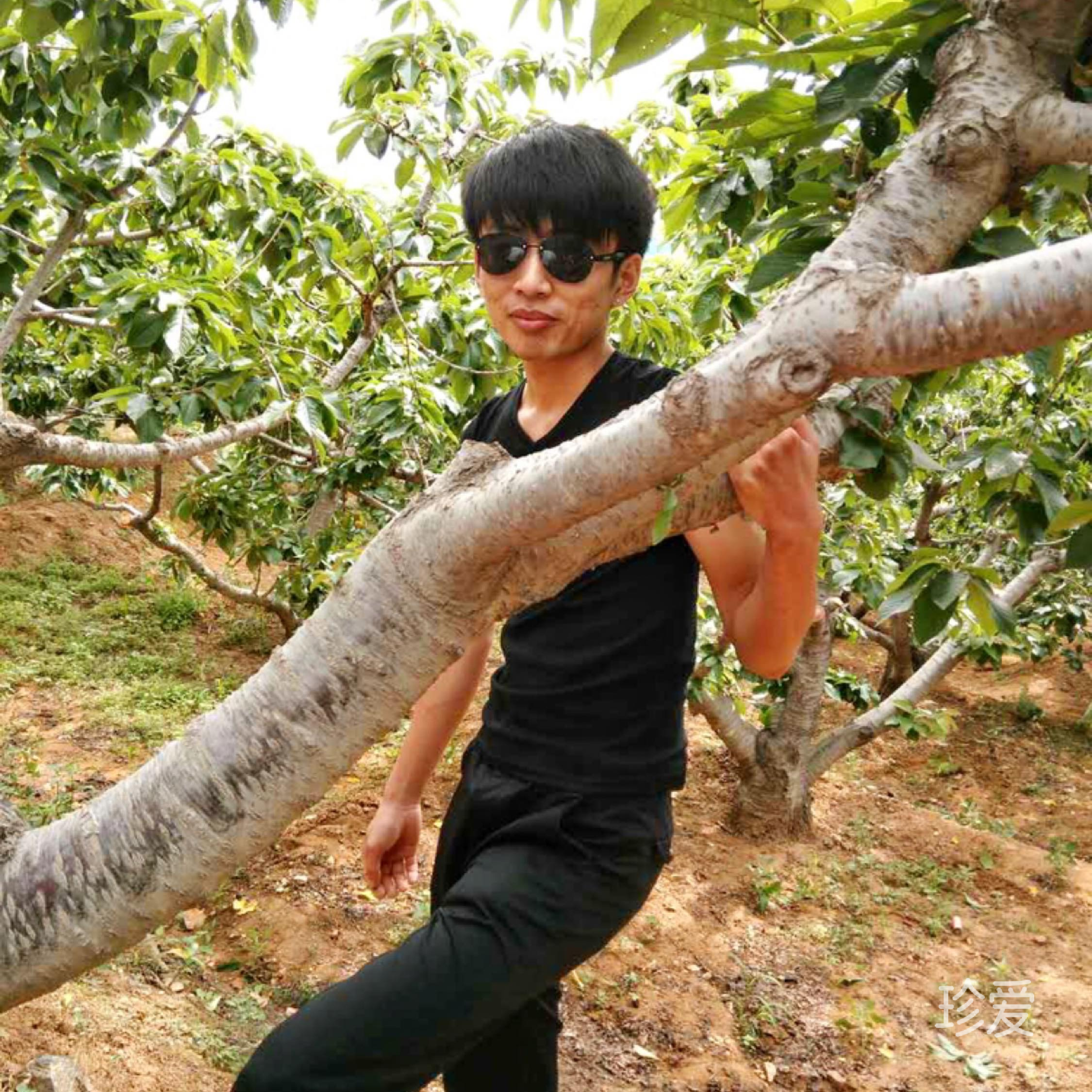 轻描淡写一个永恒