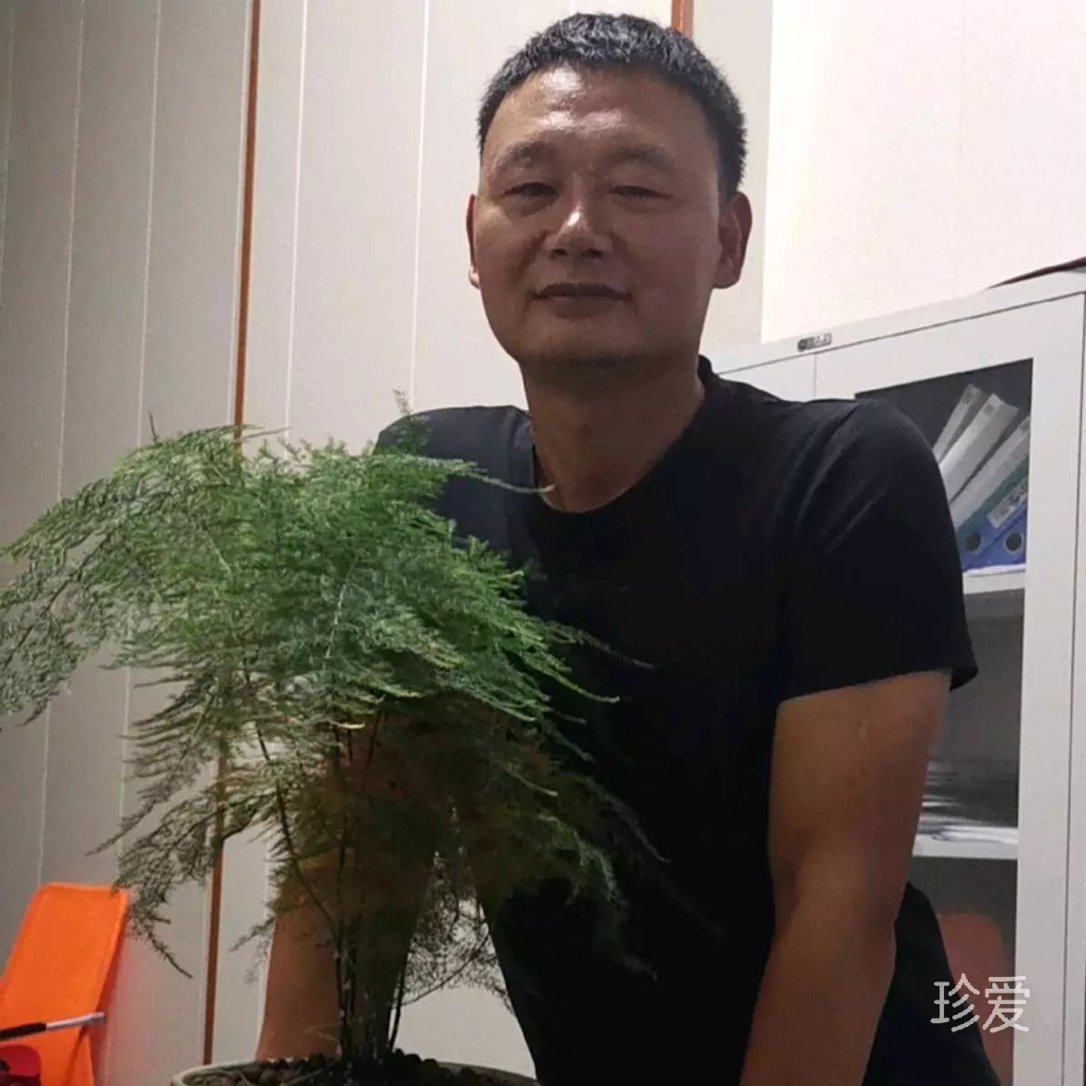 缘分