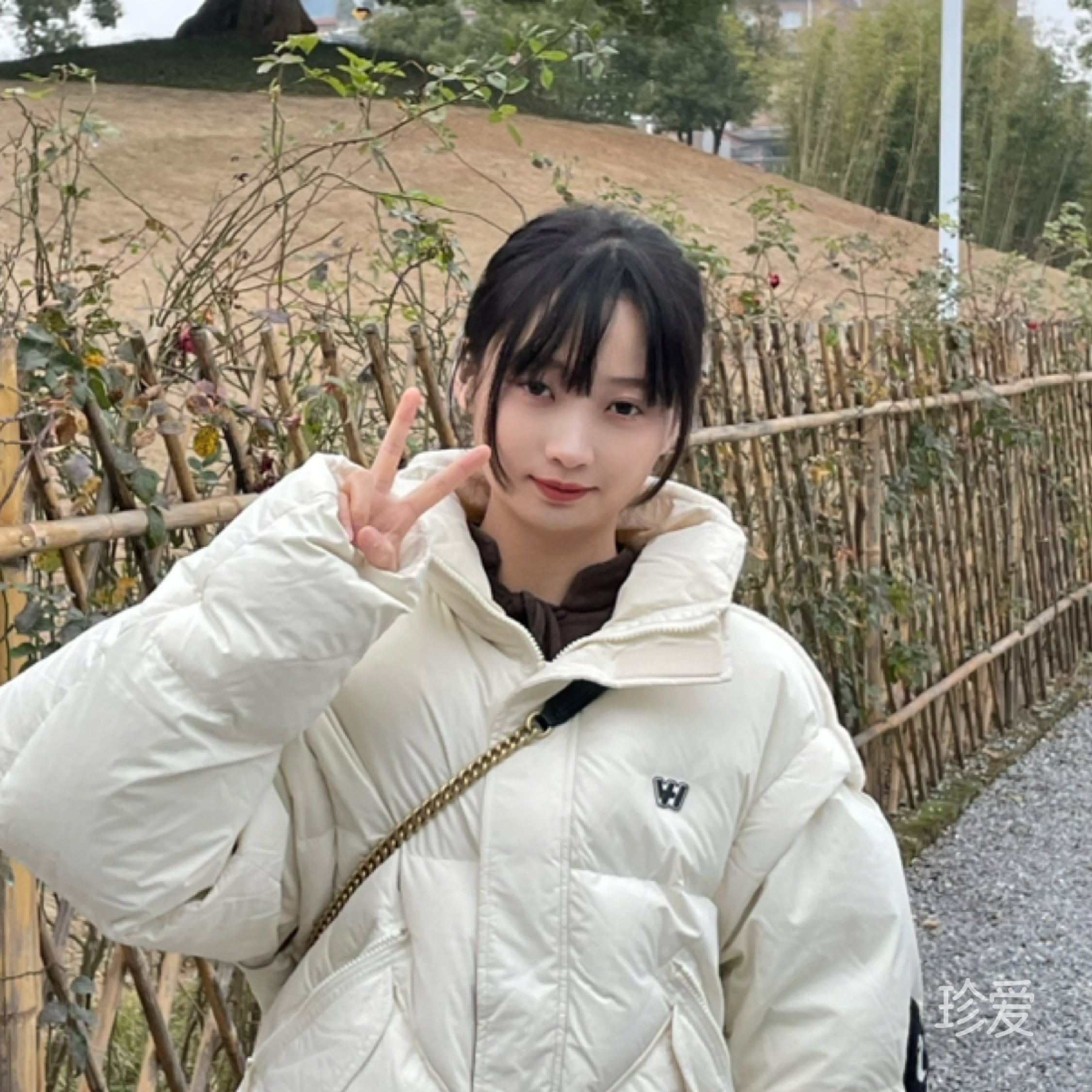梦幻岛