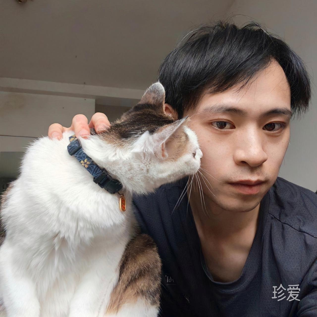 渡川