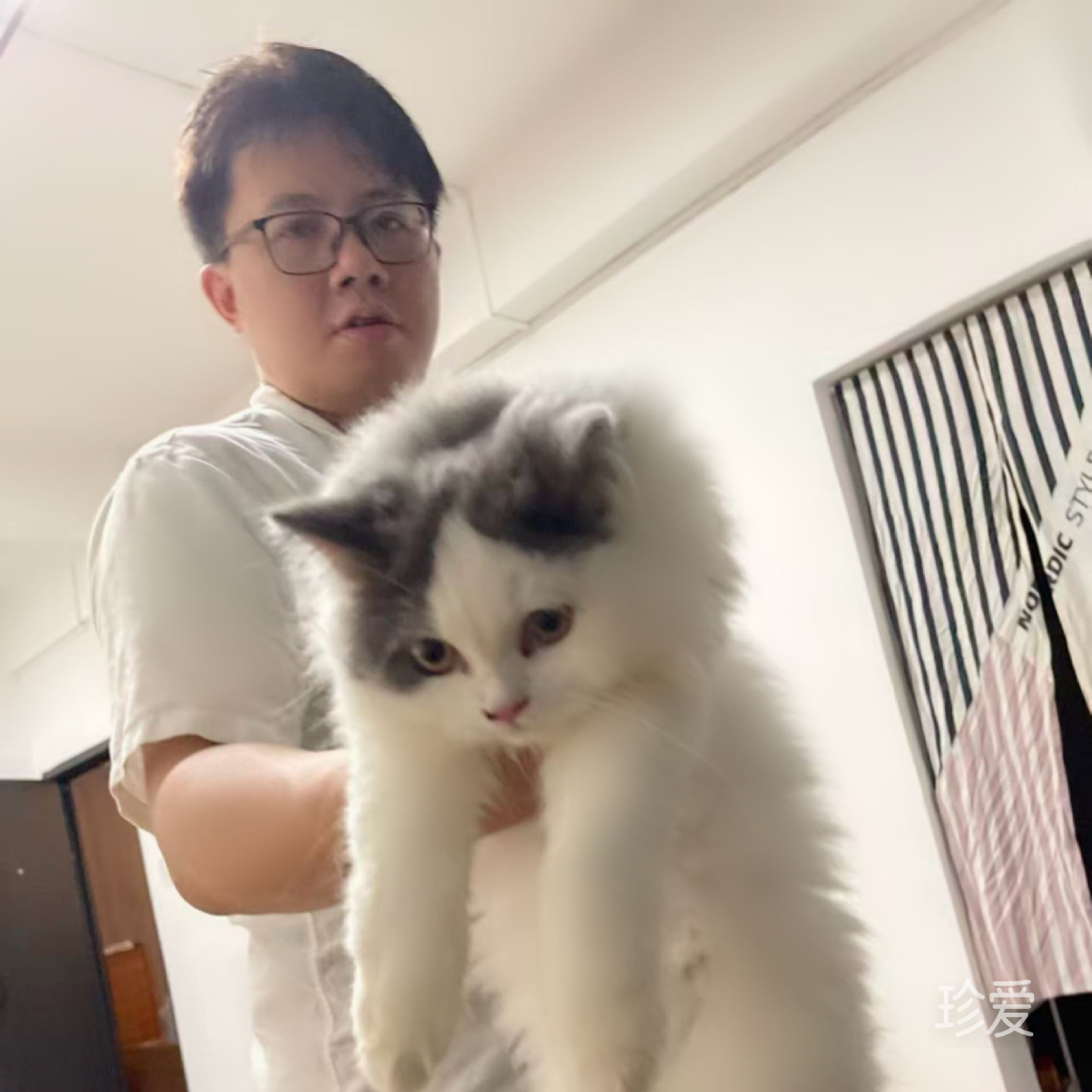 喜爱旅游的人