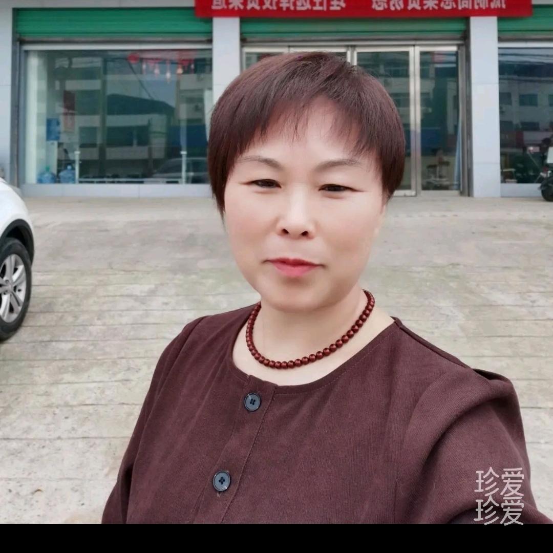 禅真